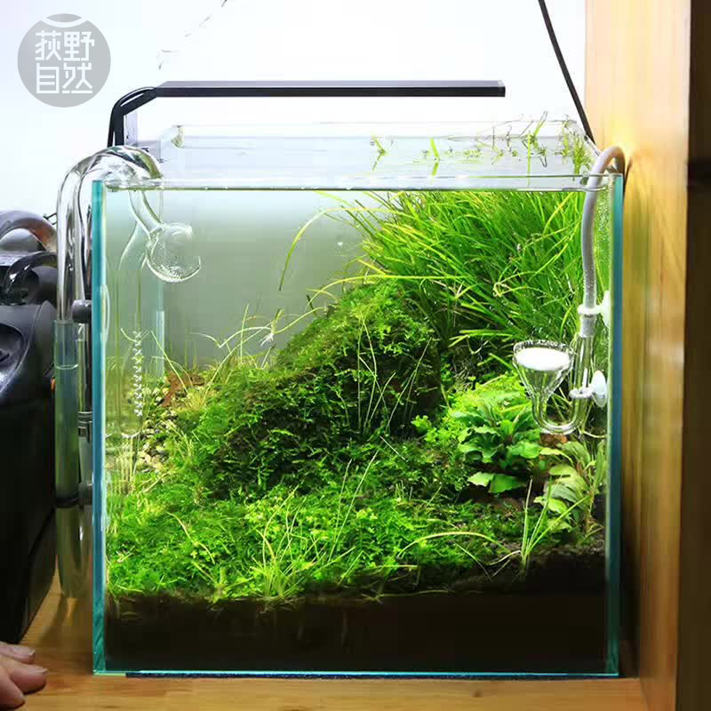 Planted Aquarium Ada - Chihiros-水族館の植物成長のためのadaスタイルのledライト,cシリーズの植物の成長のためのミニクリップ水族館ライト
