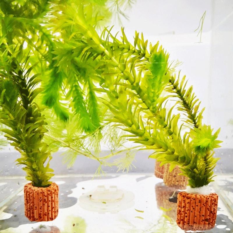 Emersed Plants Aquarium - QX2E 水族館植物ホルダーアンカー植物アクアポニック植物栽培用