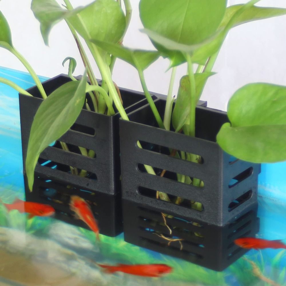 Emersed Plants Aquarium - ハイドロポニック水族館ガラス植物ホルダー、水風景、植物の植え、緊急植物、収納ラック、ガラスポット、造園の洗面台