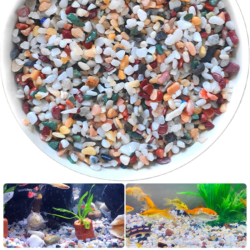 Planted Aquarium With Gravel - 天然砂利石 200 〜 1000 グラムマイクロ風景庭園水槽装飾鉢植え植物水槽底砂 DIY
