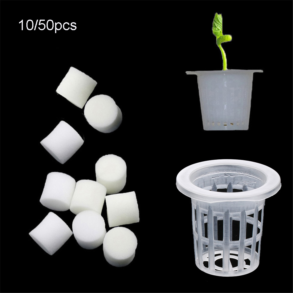 Aquarium Planted Seeds - 10/50 個耐久性のある植栽水族館無土壌水耕種子トレイ植栽バスケット保育園スポンジ植木鉢