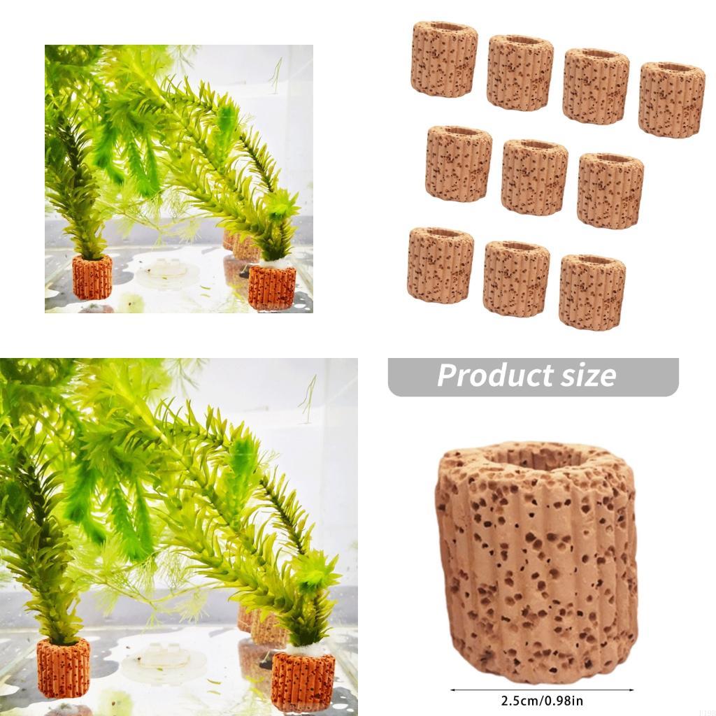 Emersed Plants Aquarium - F19B 水族館植物ホルダー水産養殖植物カップ水槽水族館の装飾シングルカップ