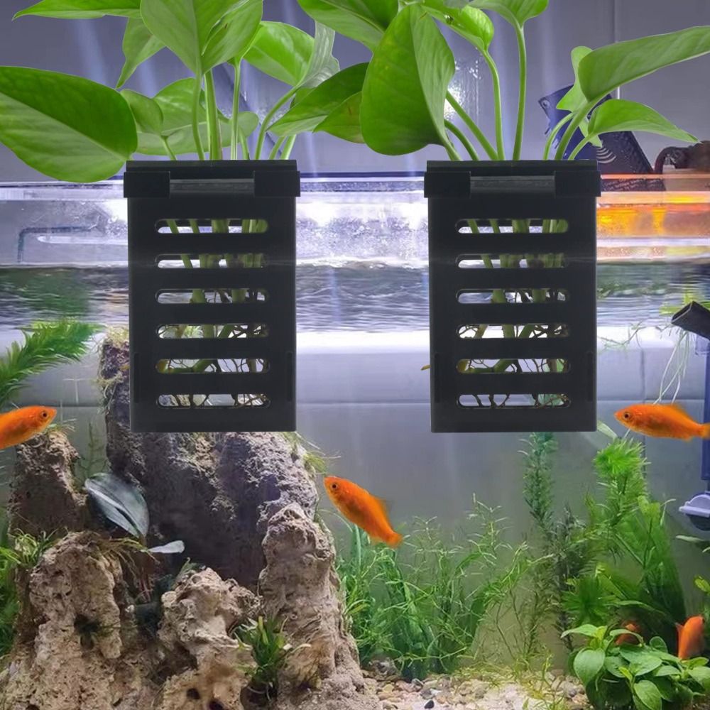 水耕栽培植物ホルダー、水風景水族館ランドスケープタンク、緊急 - Emersed Plants Aquarium のレビューと価格