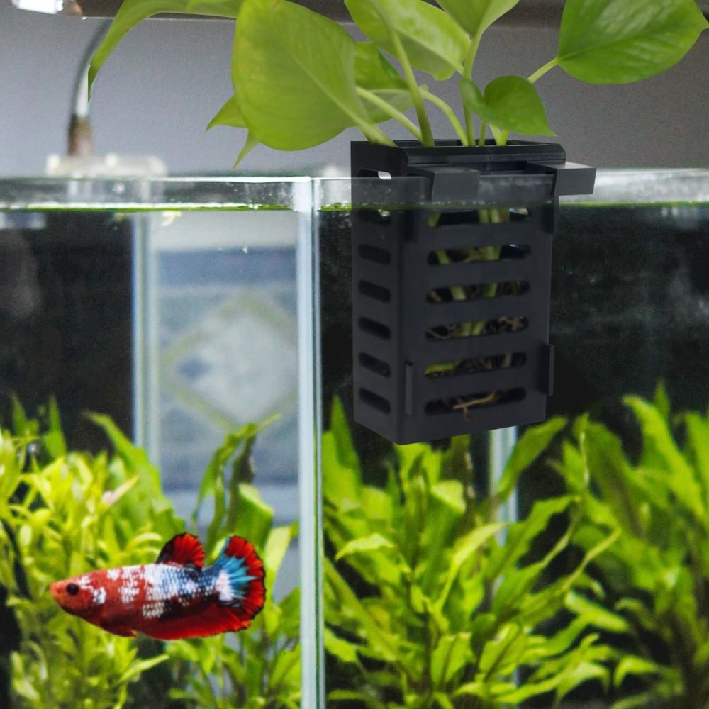 水耕栽培植物ホルダー、水風景水族館ランドスケープタンク、緊急 - Emersed Plants Aquarium のレビューと価格