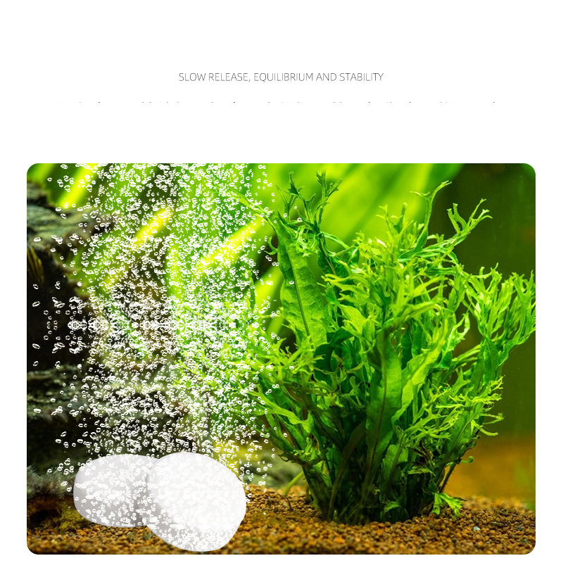 イスタフィッシュタンクco水族館2タブレット低速リリース植物 - Planted Aquarium Without Fish のレビューと価格