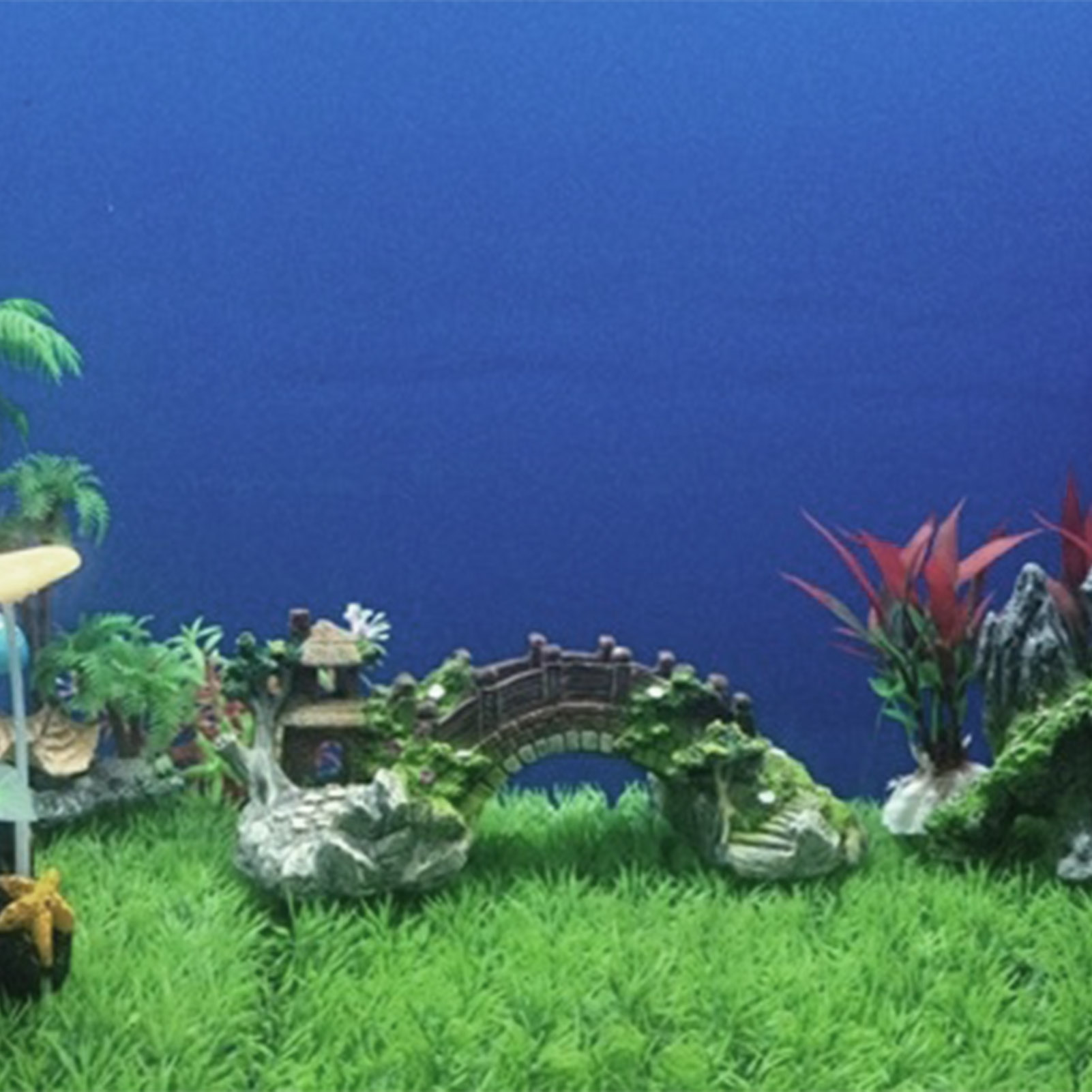 水槽人工橋樹脂風景装飾橋水族館機器アクセサリー飾り洞窟水生ペ - Aquarium Planted Seeds のレビューと価格