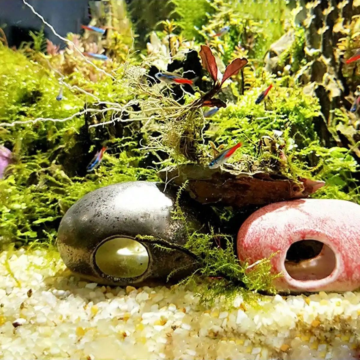 1pc-250 グラム天然結晶砂利石マイクロ風景庭水族館の装 - Planted Aquarium With Gravel のレビューと価格
