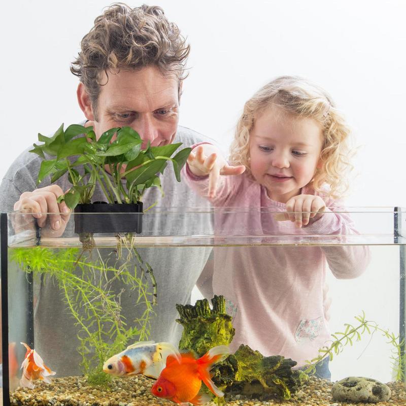 水族館の植物のための穴のある吊り下げ植物サポート,魚のプラン - Emersed Plants Aquarium のレビューと価格