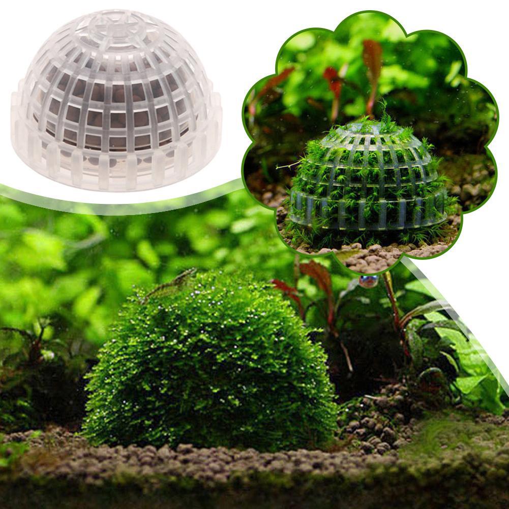 水槽用モスボールホルダー1個、水槽DIYモスボール成形器、モ - Planted Aquarium Models のレビューと価格