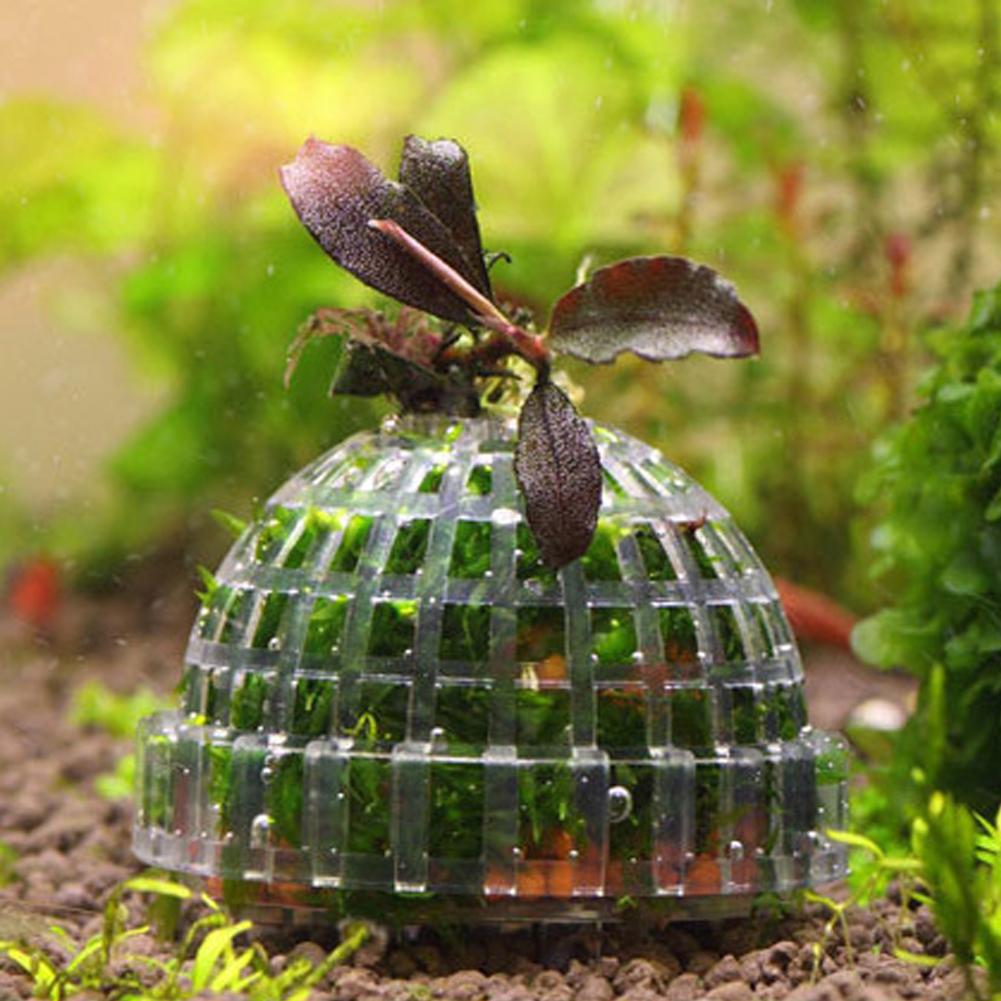 水槽用モスボールホルダー1個、水槽DIYモスボール成形器、モ - Planted Aquarium Models のレビューと価格