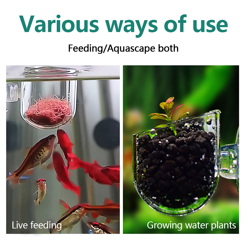 水槽装飾用植物カップポット アクリル製水生植物カップ 吸盤付 - Aquarium Plant Utensils のレビューと価格
