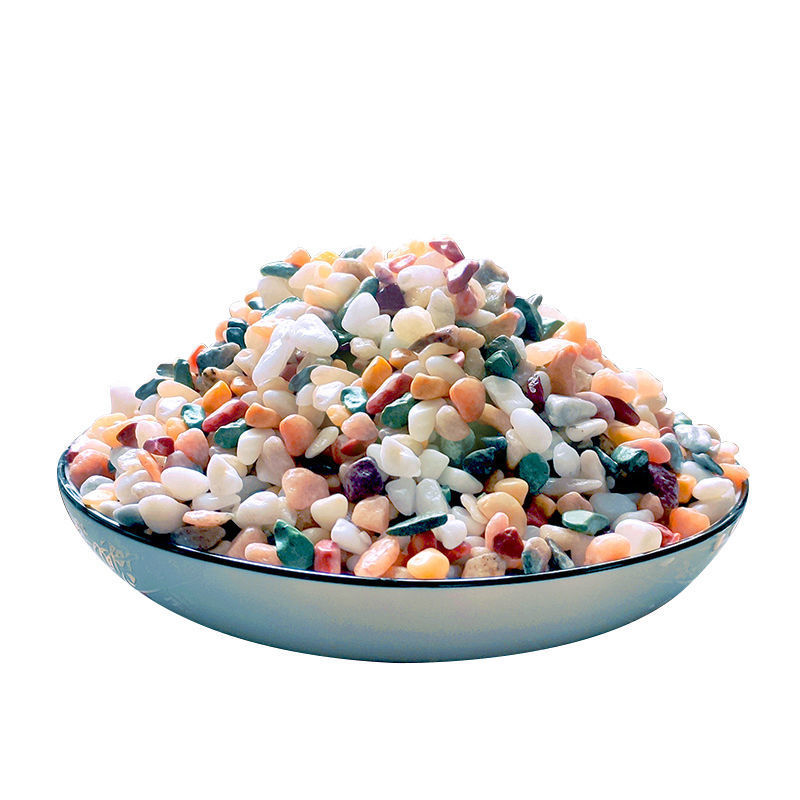 5mm 天然水槽砂 200g-800g 水槽砂利底材 水生植 - Planted Aquarium With Gravel のレビューと価格