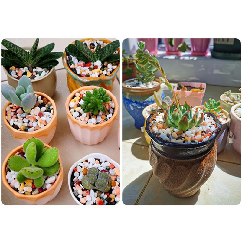 5mm 天然水槽砂 200g-800g 水槽砂利底材 水生植 - Planted Aquarium With Gravel のレビューと価格