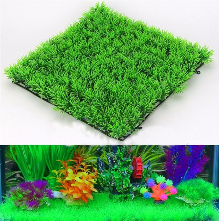人工緑草植物芝生ターフ水生水族館水槽の装飾偽苔水族館の装飾品 - Aquarium Planted Seeds のレビューと価格