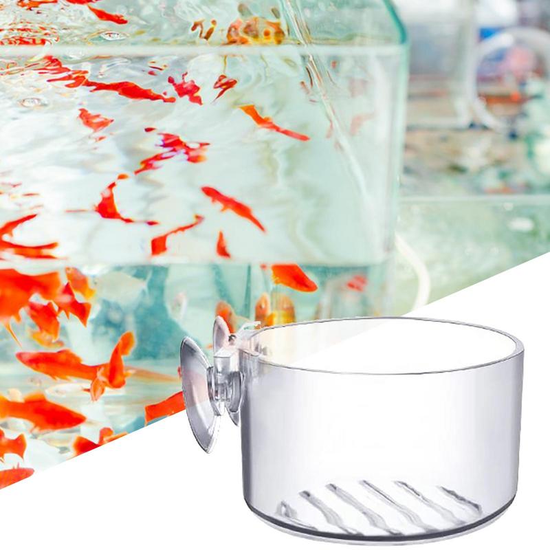 水族館植木鉢ガラスシリンダーカップ吸盤付き水生植物カップ装飾 - Aquarium Planted Seeds のレビューと価格
