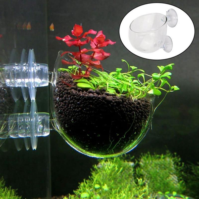 水族館植木鉢ガラスシリンダーカップ吸盤付き水生植物カップ装飾 - Aquarium Planted Seeds のレビューと価格