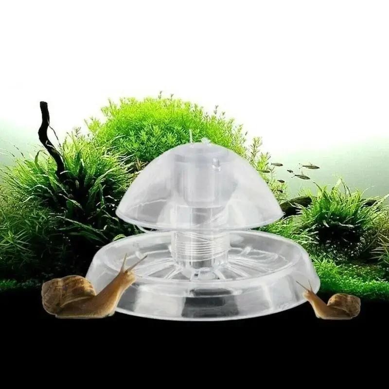 2026年新発売 6/8CM 透明プラスチック製カタツムリ捕 - Planted Aquarium With Fish のレビューと価格