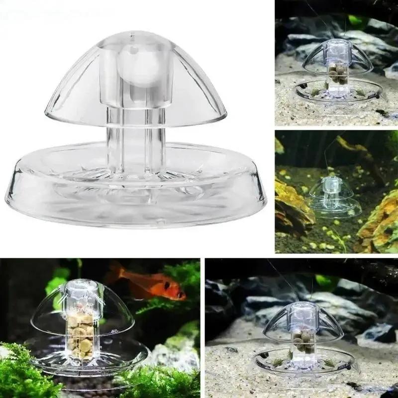 2026年新発売 6/8CM 透明プラスチック製カタツムリ捕 - Planted Aquarium With Fish のレビューと価格