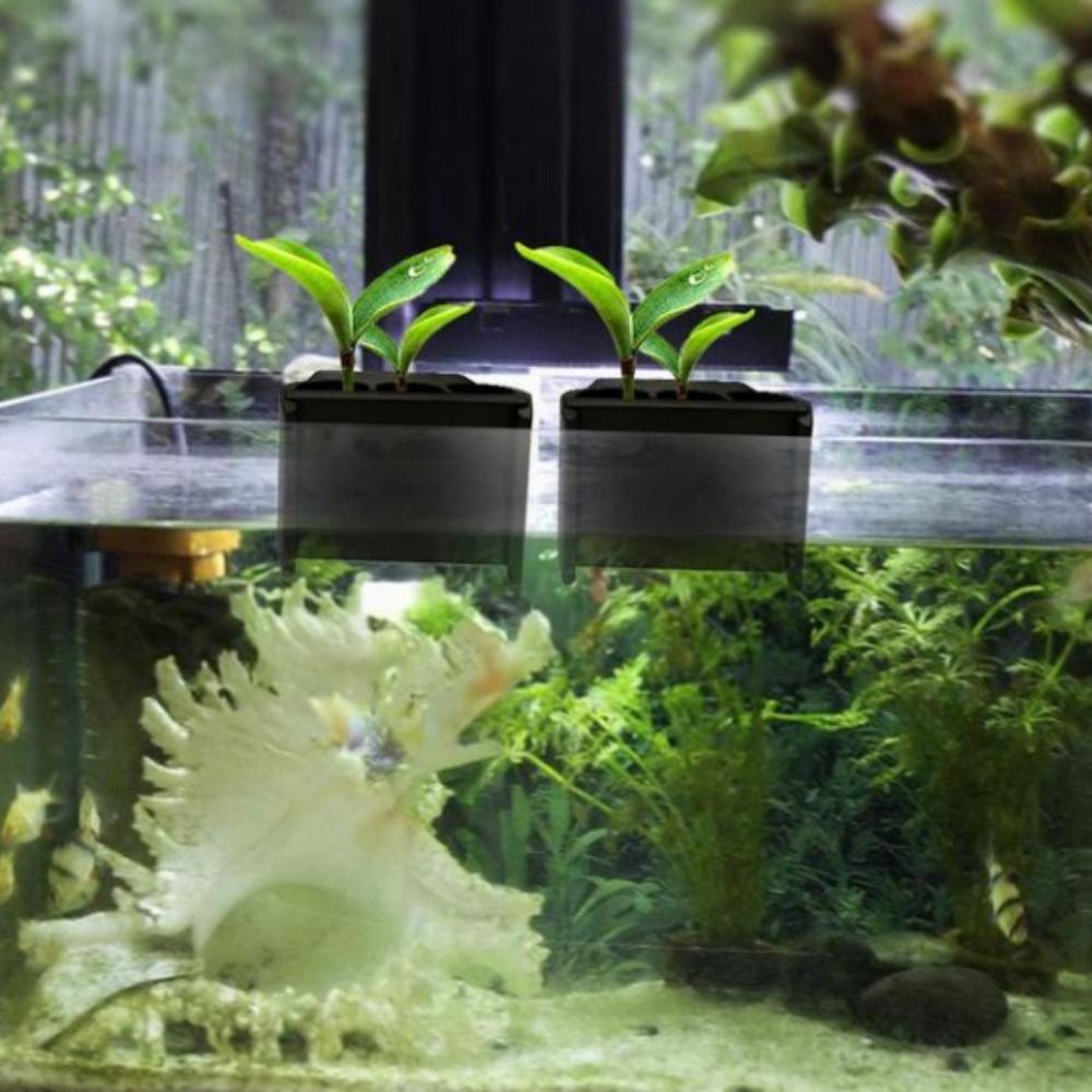 一体型フック付き水槽プランター プラスチック製吊り下げ式水草 - Emersed Plants Aquarium のレビューと価格