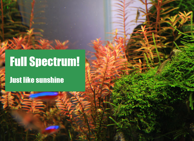 Chihiros-水族館の植物成長のためのadaスタイルのl - Planted Aquarium Ada のレビューと価格