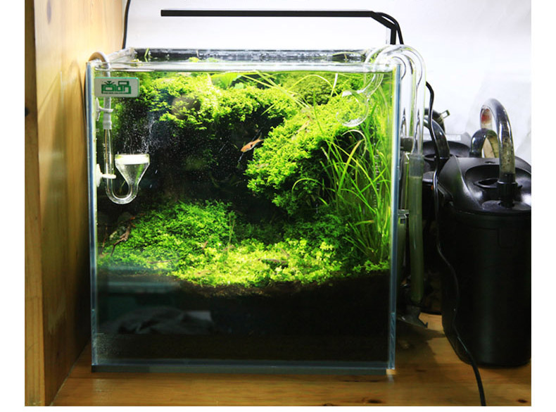 Chihiros-水族館の植物成長のためのadaスタイルのl - Planted Aquarium Ada のレビューと価格