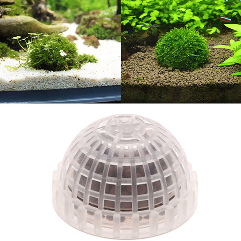 1pc 水生ペット用品装飾水族館苔玉生きた植物フィルタージャ - Planted Aquarium Models のレビューと価格