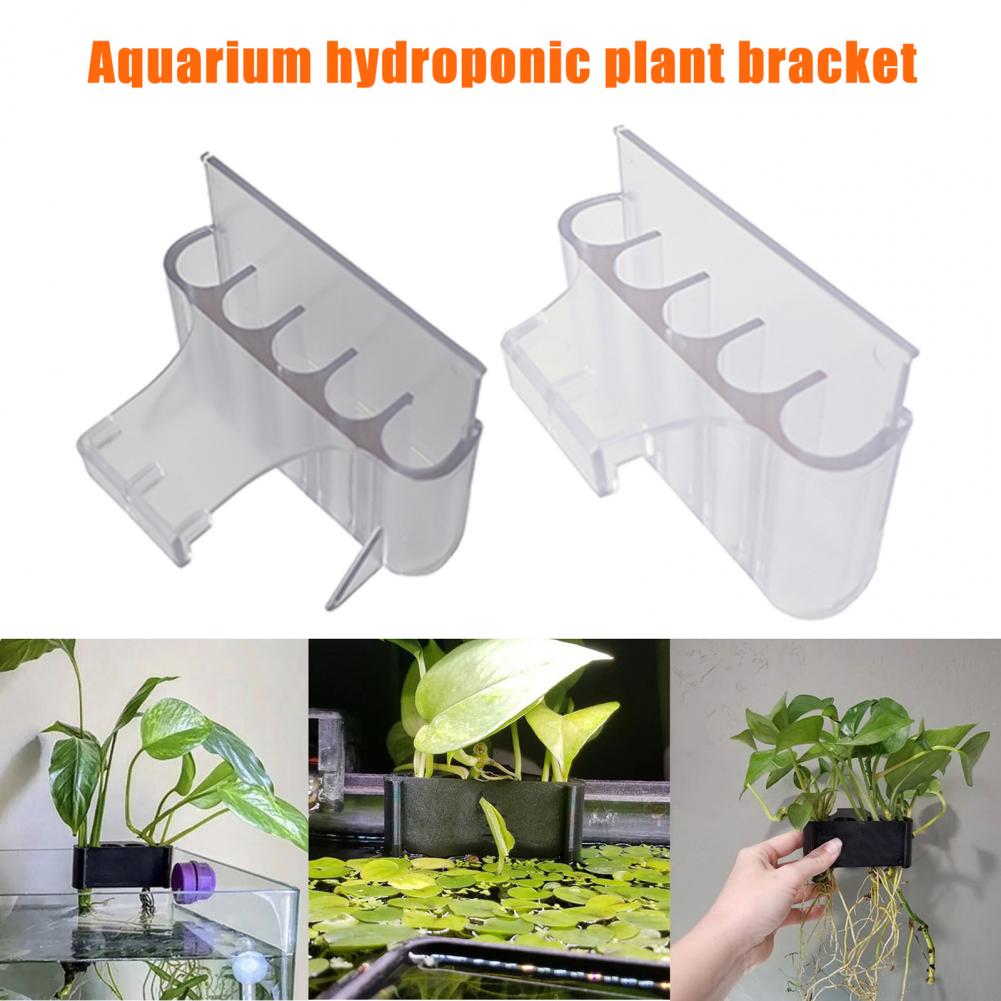 4.5/6.5 センチメートル水族館植物ホルダー水槽植物スタ - Planted Aquarium With Fish のレビューと価格