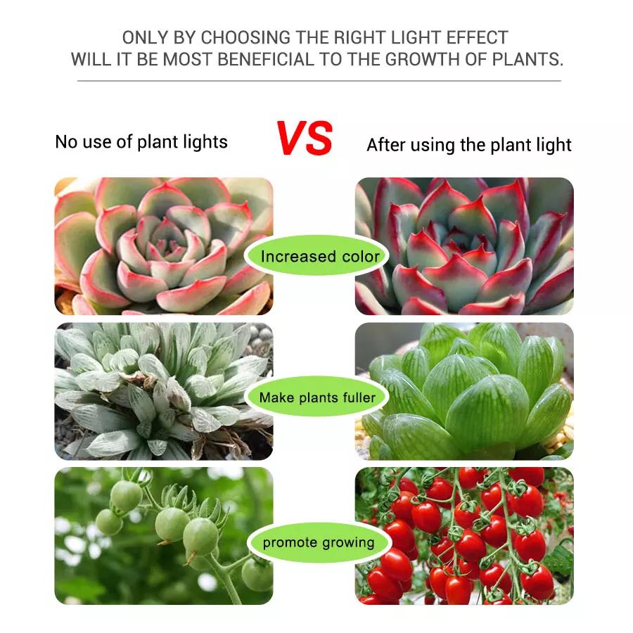 フルスペクトルLED植物成長ライト,USB,花,水族館,屋内 - Planted Aquarium Hours のレビューと価格