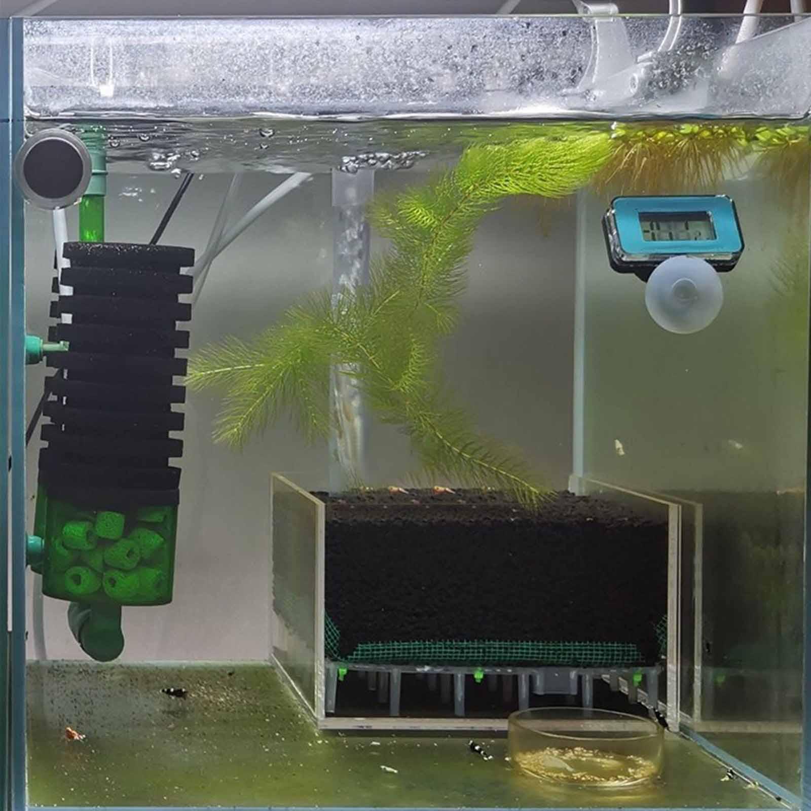 アクリル製エビ水槽フィルター、砂利の下に設置する正方形の透明 - Planted Aquarium With Gravel のレビューと価格