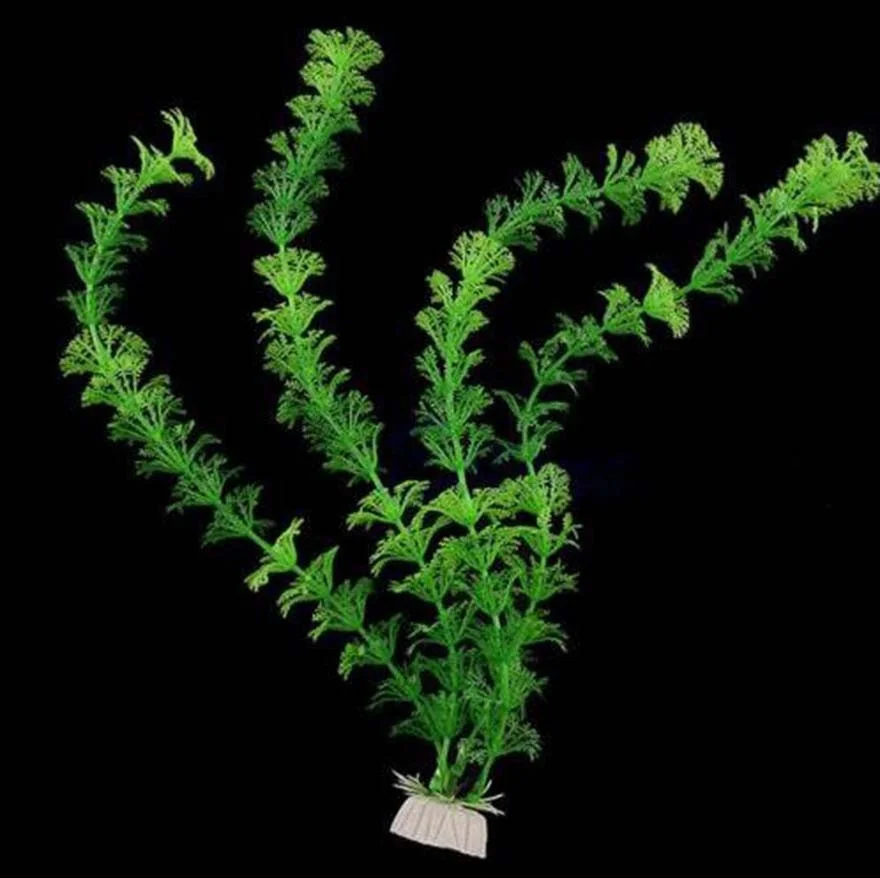 プラスチック水族館の水槽の装飾水雑草植物人工緑の草 - Aquarium Planted Seeds のレビューと価格