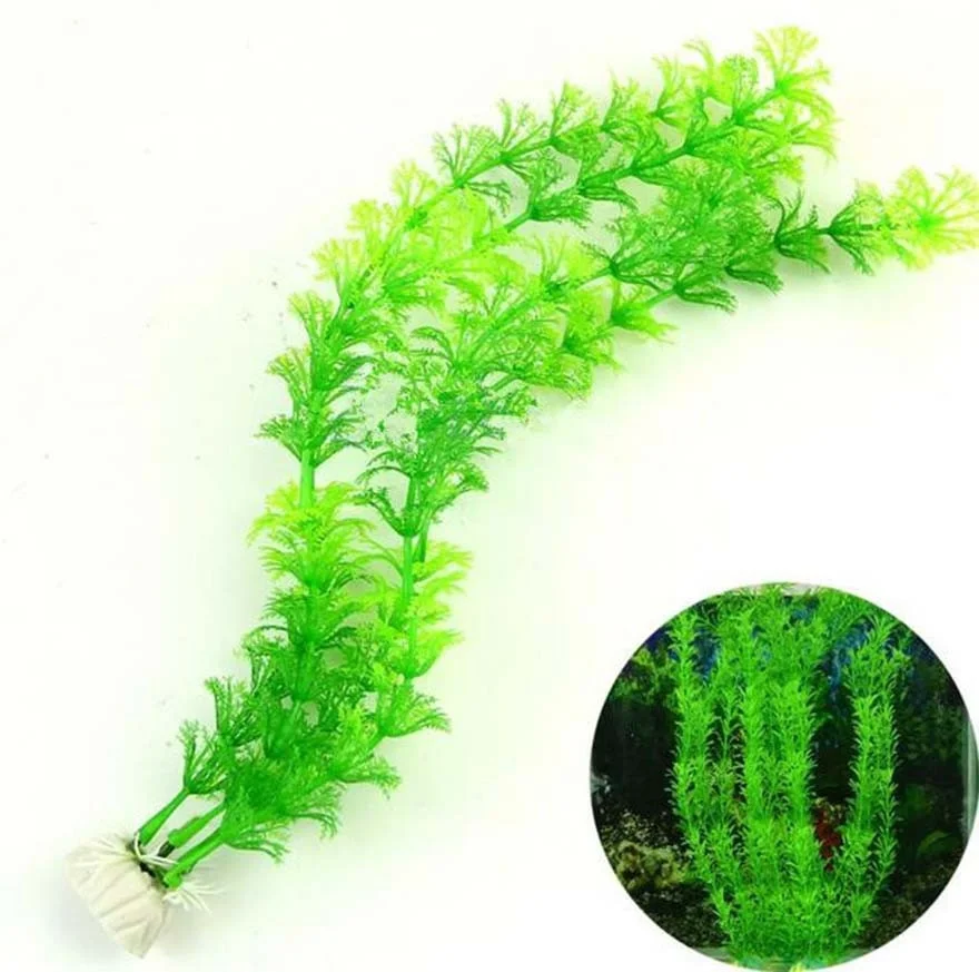 プラスチック水族館の水槽の装飾水雑草植物人工緑の草 - Aquarium Planted Seeds のレビューと価格