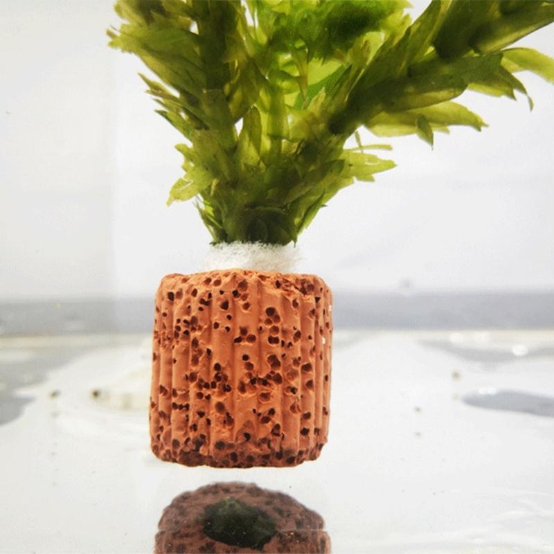 QX2E 水族館植物ホルダーアンカー植物アクアポニック植物栽 - Emersed Plants Aquarium のレビューと価格