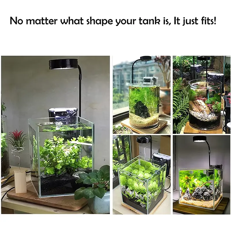 水槽、ベタ、鉢植え、多肉植物、ミニチュア風景用のフルスペクト - Planted Aquarium Hours のレビューと価格
