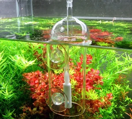 Viv do-魚や植物用の溶解酸素シリンダー、クリスタルガラ - Planted Aquarium Supplies のレビューと価格