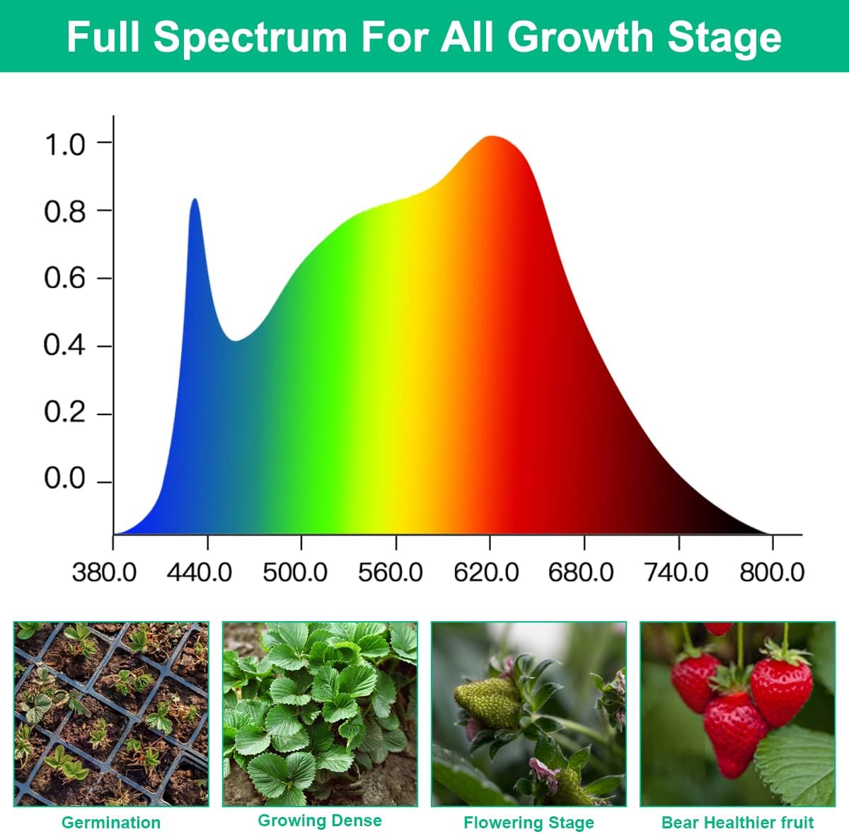 LED 成長ランプ植物フルスペクトル AC85-265V 温 - Aquarium Planted Seeds のレビューと価格