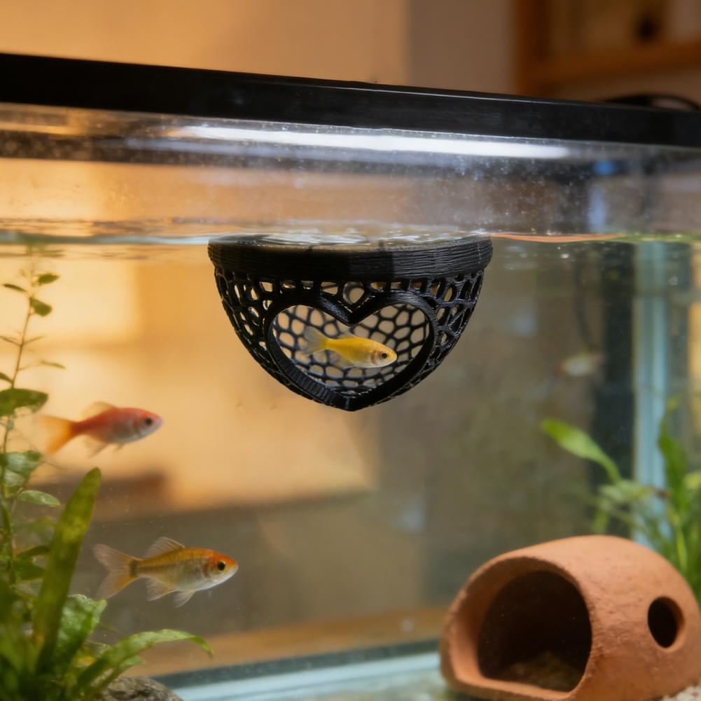 ハート型水槽隠れ家洞窟、ベタ、エビ、水生植物用の3D中空魚の - Planted Aquarium Without Fish のレビューと価格