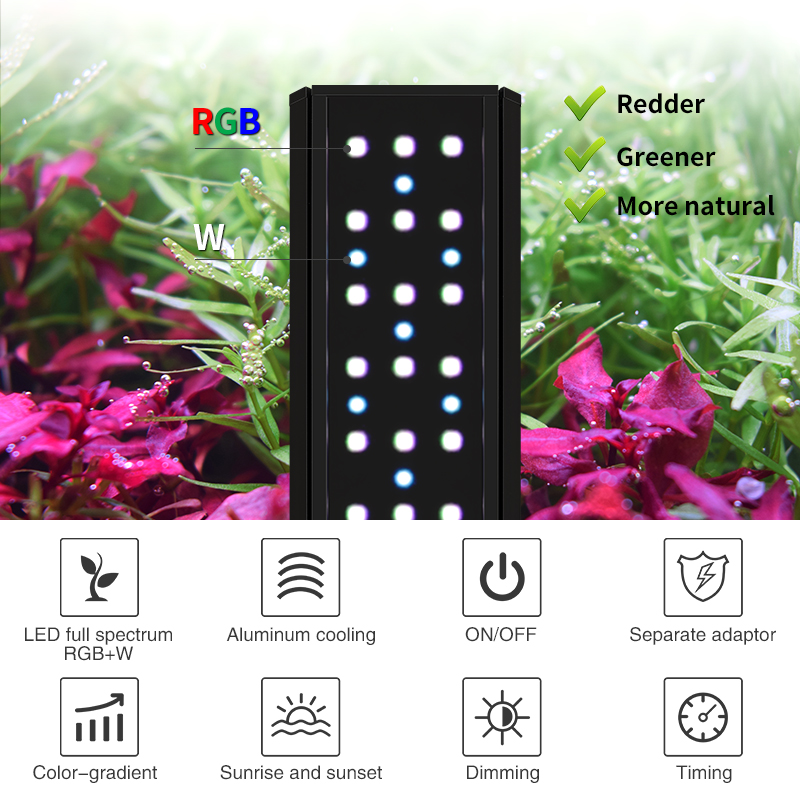 ZXY WEEK ADA 同型 ウォータースカイLED水槽  - Planted Aquarium Ada のレビューと価格