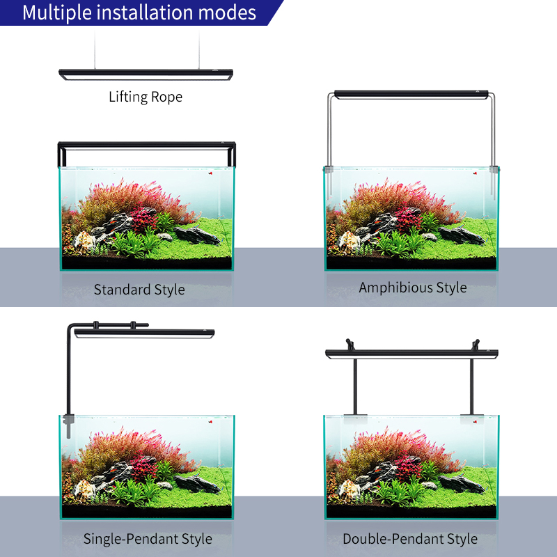 ZXY WEEK ADA 同型 ウォータースカイLED水槽  - Planted Aquarium Ada のレビューと価格