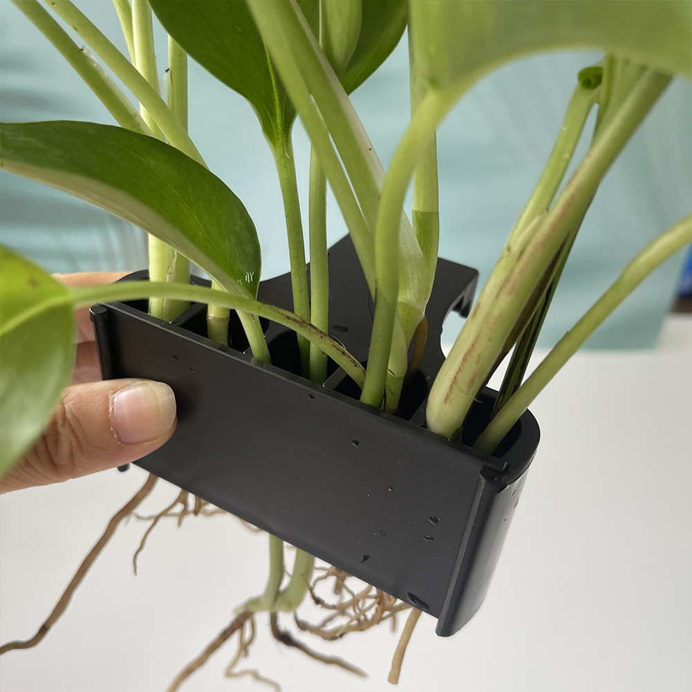 吊り下げ式水族館植物ホルダー,穴の開いた水生植物ポット,プラ - Emersed Plants Aquarium のレビューと価格