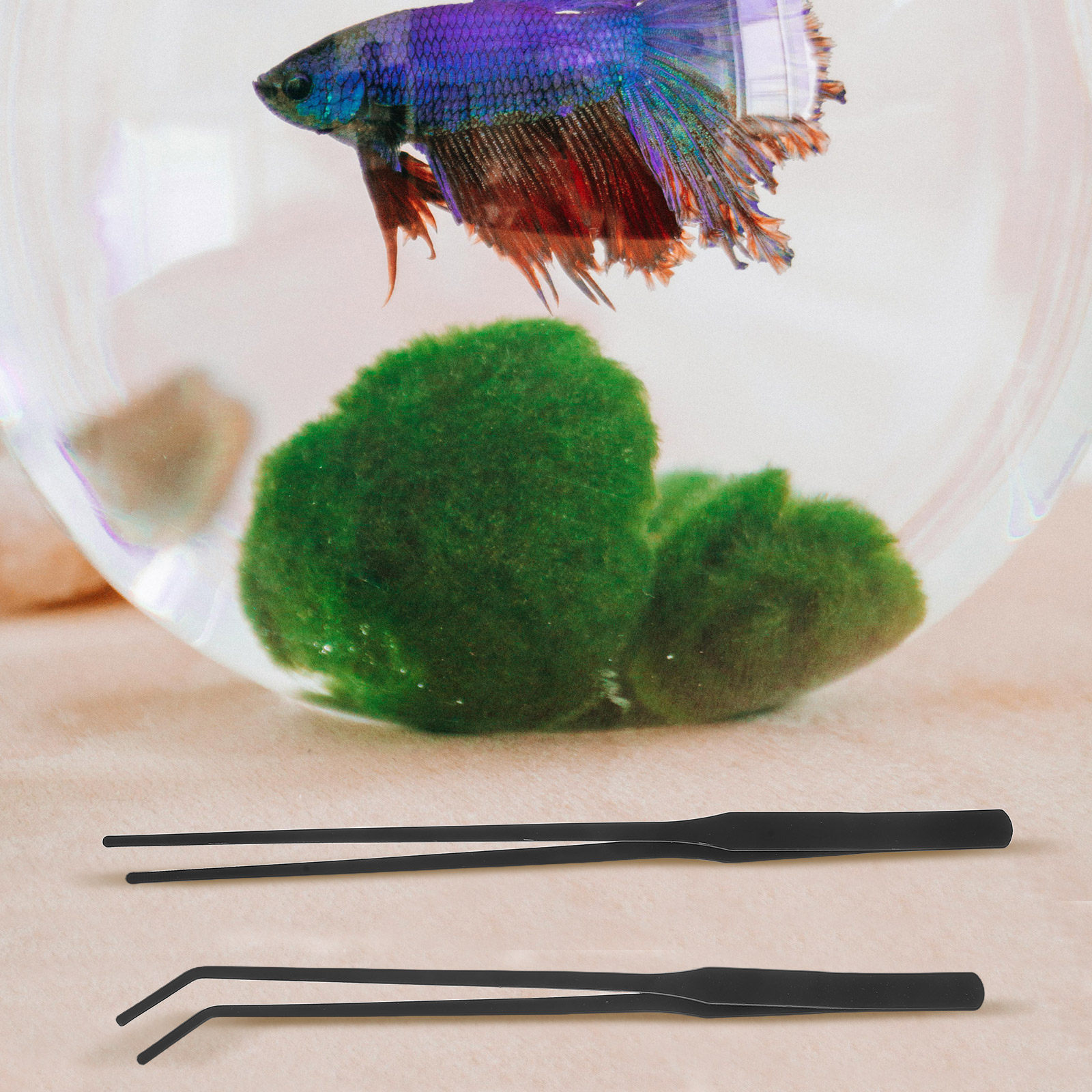 4個入り水槽用ピンセット ステンレス製ロングハンドル 魚タン - Planted Aquarium Maintenance Kit のレビューと価格
