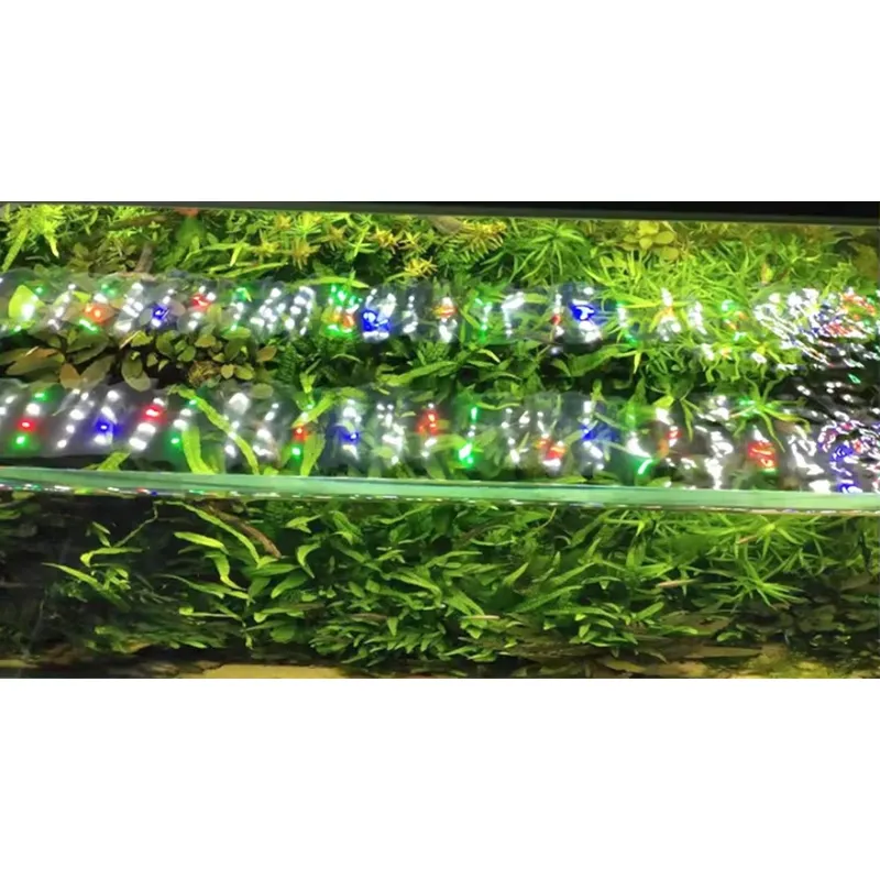 RGBフルスペクトルシルバータッチコントロール太陽光シミュレ - Planted Aquarium Hours のレビューと価格