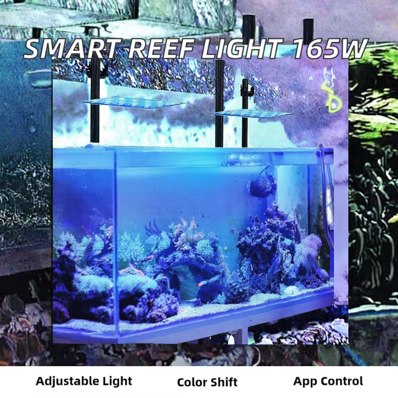 165W調光可能WiFiアプリ制御水槽LEDライト、サンゴ礁 - Planted Aquarium Models のレビューと価格