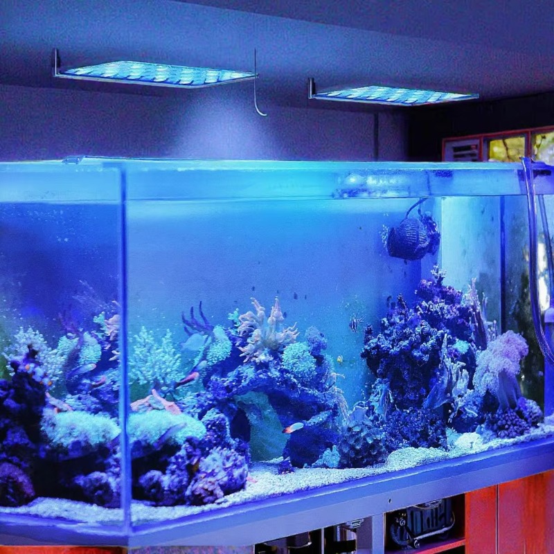 165W調光可能WiFiアプリ制御水槽LEDライト、サンゴ礁 - Planted Aquarium Models のレビューと価格