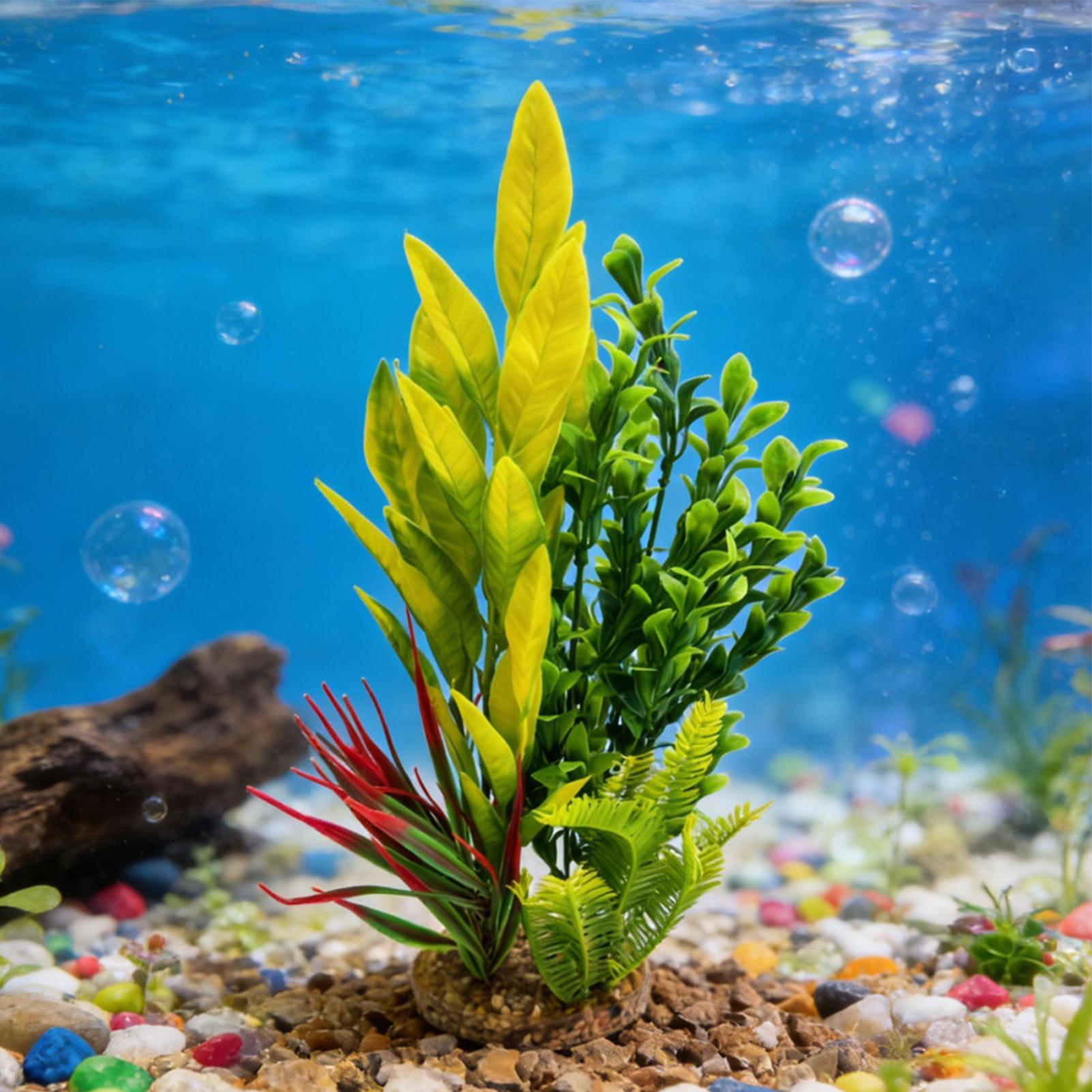 人工水槽植物 エビ水槽装飾 ベタ水槽装飾 繁殖者、趣味家、初 - Planted Aquarium For Beginners のレビューと価格