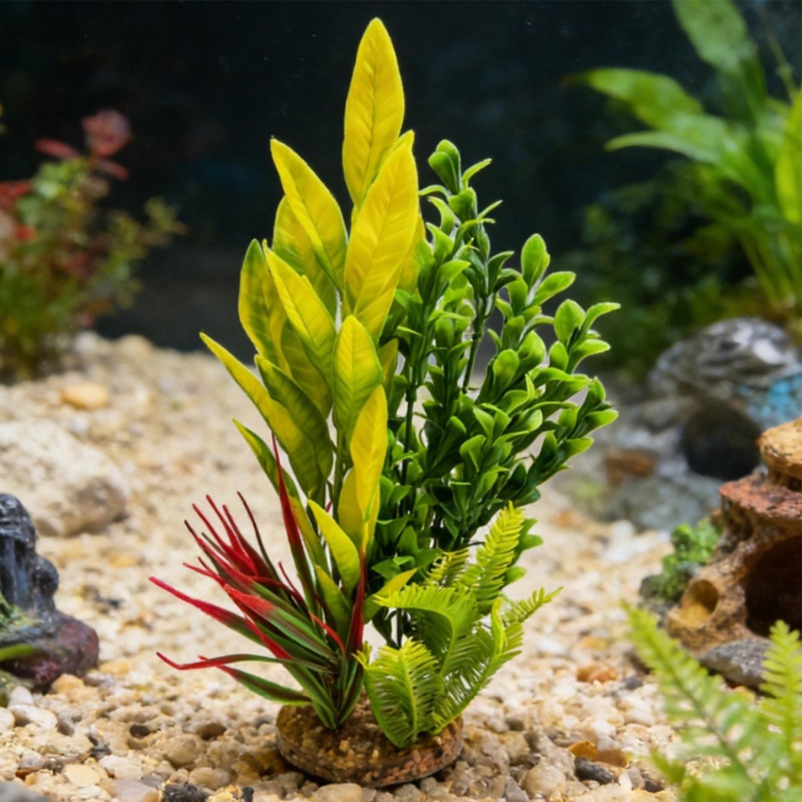 人工水槽植物 エビ水槽装飾 ベタ水槽装飾 繁殖者、趣味家、初 - Planted Aquarium For Beginners のレビューと価格