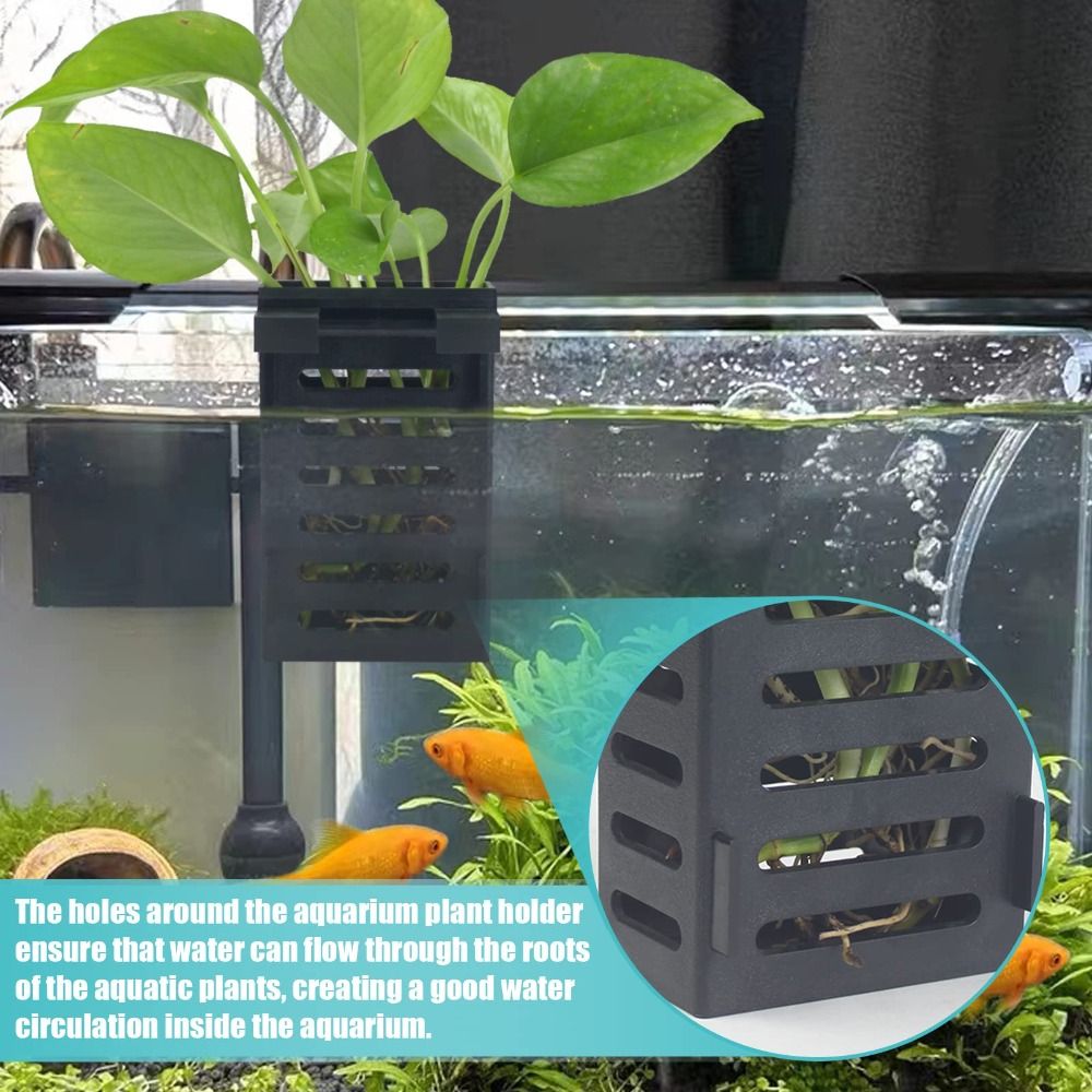 ハイドロポニック水族館ガラス植物ホルダー、水風景、植物の植え - Emersed Plants Aquarium のレビューと価格