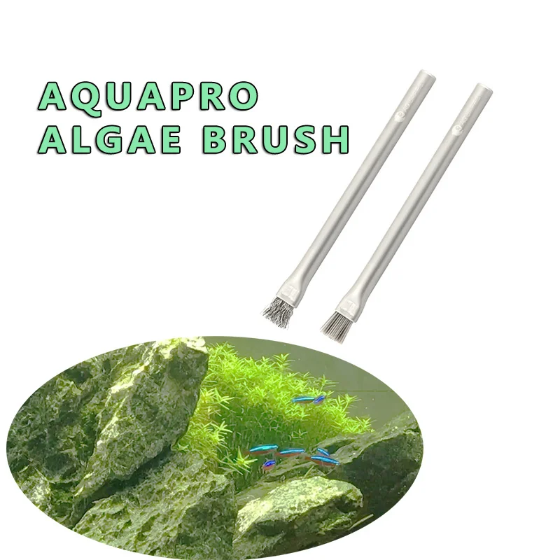 Aquapro 藻類ブラシクリーニングブラシ水槽と水族館ツー - Planted Aquarium Ada のレビューと価格