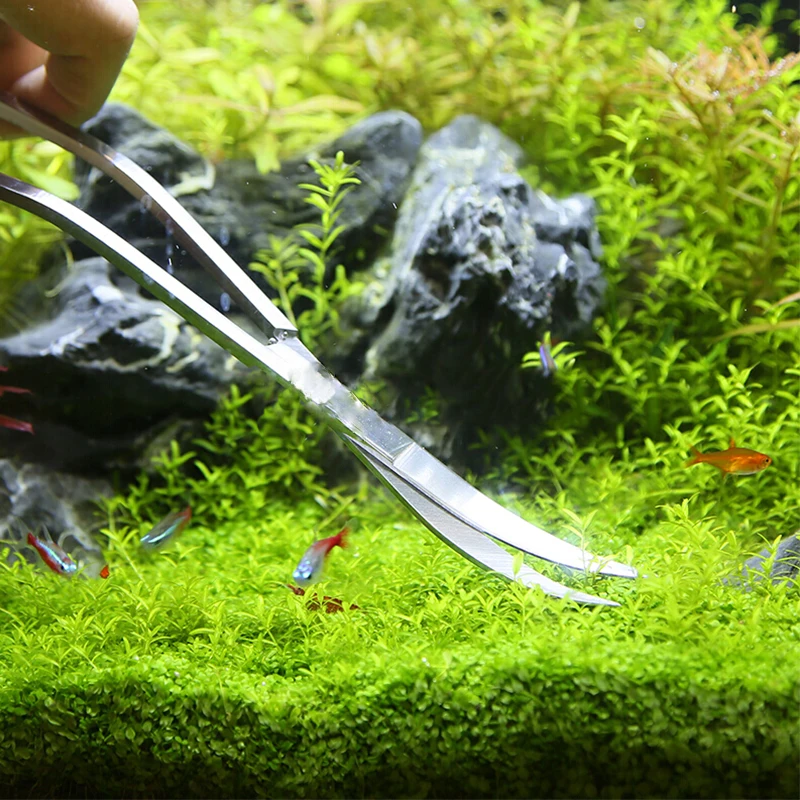 水族館はさみツール水槽ピンセット植物波はさみ草ステンレスクリ - Planted Aquarium Maintenance Kit のレビューと価格