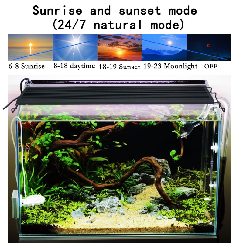 LED水槽ライト フルスペクトル 水草・サンゴ礁水槽用ランプ - Aquarium Plant Light Spectrum のレビューと価格