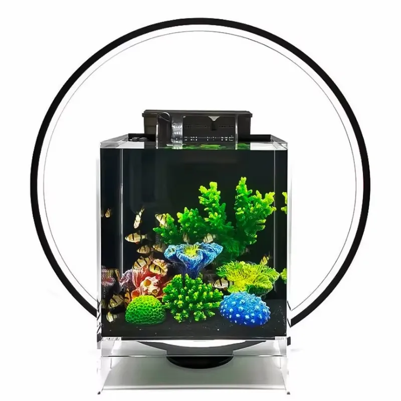 デスクトップLED水槽ランプ ミニ水槽用植物育成ライト アク - Planted Aquarium Hours のレビューと価格